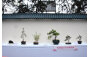Hong Kong Penjing & Artstone Research Institute
