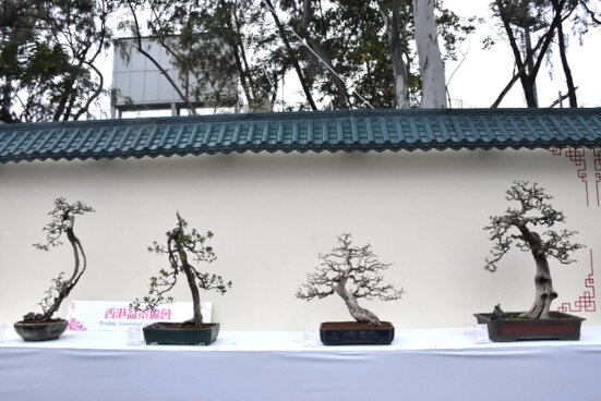 Penjing Association of Hong Kong