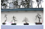 Penjing Association of Hong Kong