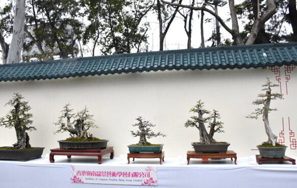 Institute of Lingnan Penjing Hong Kong Limited