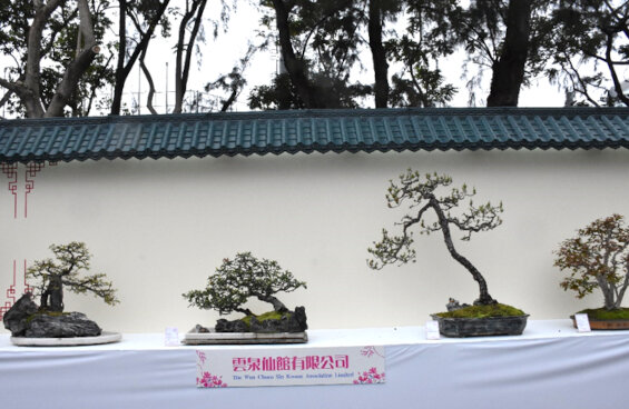 The Wun Chuen Sin Kwoon Association Limited