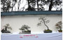 The Wun Chuen Sin Kwoon Association Limited