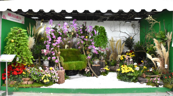 International Florist Limited
