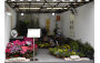 Association of Horticulture, Lantau Island