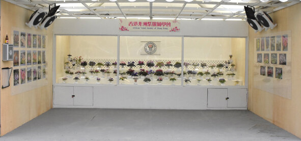 African Violet Society of Hong Kong