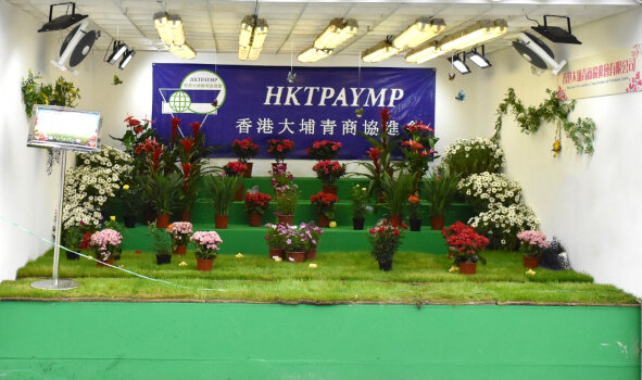 Hong Kong Tai Po Association of Young Merchants and Professionals Limited