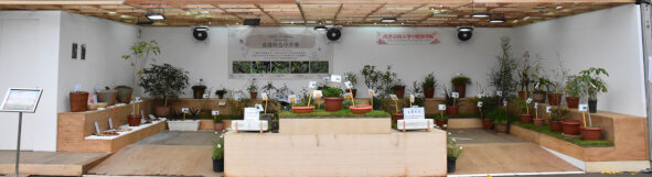 School of Chinese Medicine of Hong Kong Baptist University