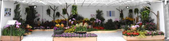 Institute of Horticulture (Hong Kong)