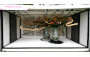 China Flower Arrangement Association