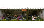 Beijing Flower Association