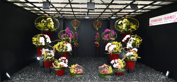 World Orchid Association (Malaysia Chapter)