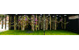 Pui Wa Floral Design School / World Flower Council Macau Founding Chapter