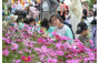Jockey Club Student Drawing Competition