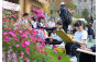 Jockey Club Student Drawing Competition