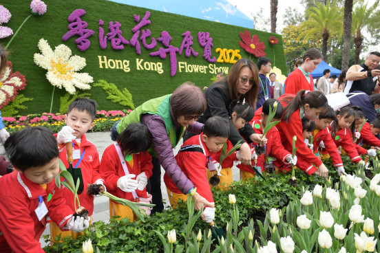 Flowers Replacement by Student