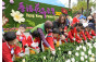 Flowers Replacement by Student