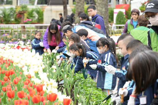 Flowers Replacement by Student