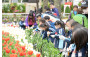 Flowers Replacement by Student