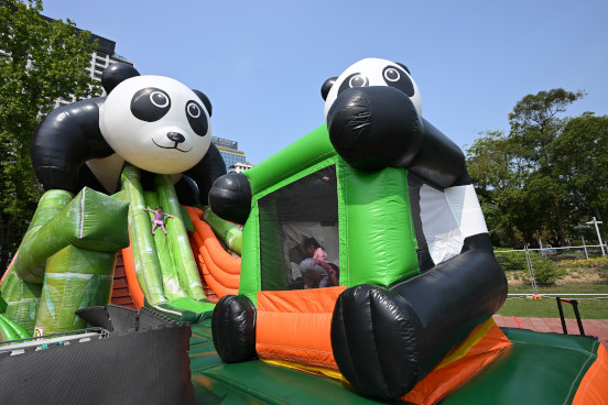 Bouncy Slide