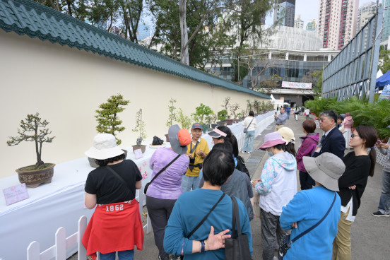 Bonsai Display Guided Tour