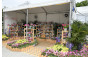 Jockey Club One Person, One Flower Scheme Potted Plants