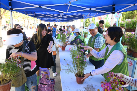 Green Recycling Day