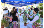 Green Recycling Day