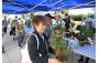Green Recycling Day