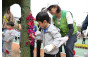 Jockey Club Mosaiculture Display by Students
