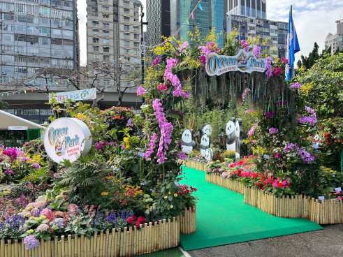 Ocean Park Hong Kong <Giant Pandas Deep in the Bamboo Forest>