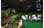 Ocean Park Hong Kong <Giant Pandas Deep in the Bamboo Forest>