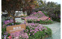 Development Bureau <Impressions．Urban Forestry>