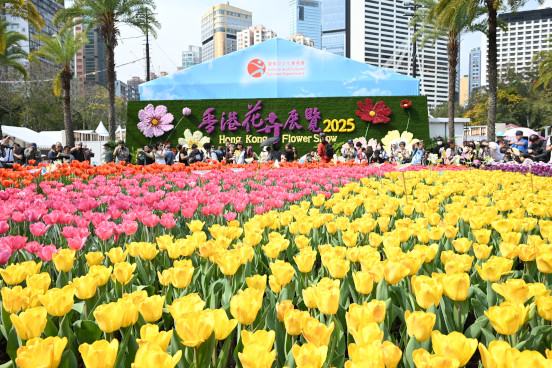 Sea of Tulips