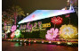 Hong Kong Flower Show Three-dimensional Floral Wall