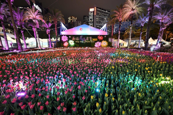 Sea of Tulips