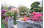 First Prize: Tsuen Wan District <A Jiangnan Residence>