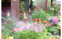 Second Prize: Tuen Mun District <A Leisurely Thai Ambience>