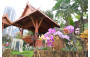 Environmental Award: Kwai Tsing District <The Blissful Valley>