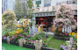Most Creative Award: Eastern District <The Cherished Days of Hong Kong>