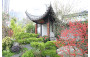 Tai Po District <The Beauty of Heritage>