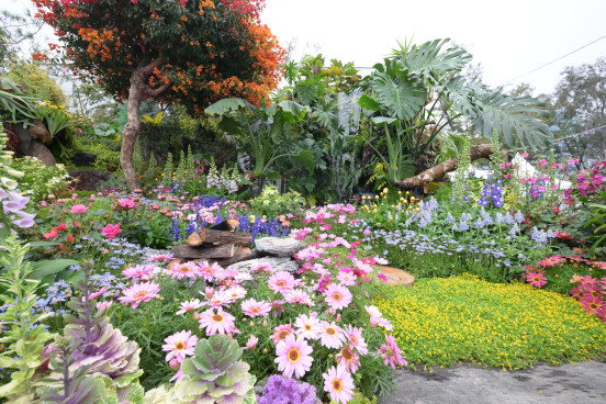 Second Prize: Kwun Tong District <Symphony of Nature>