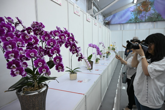 Plant Exhibit Competition
