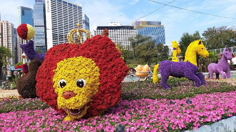 Joyful Vibrancy Around Town