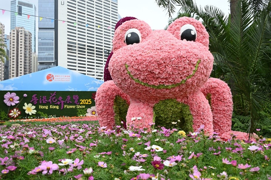 Joyful Vibrancy Around Town