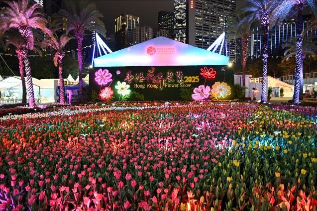 Sea of Tulips