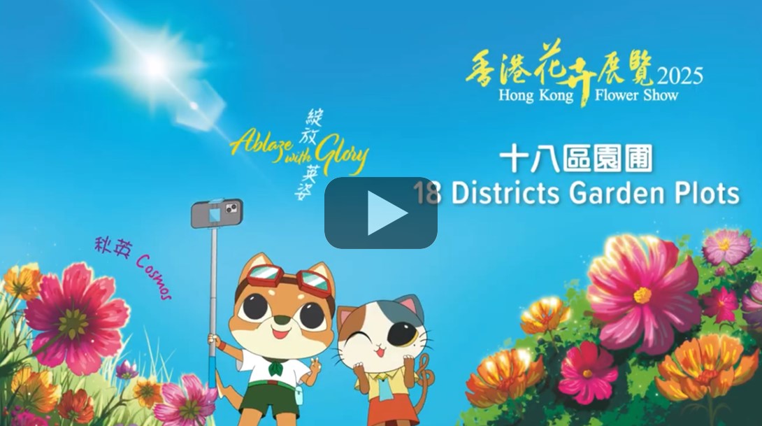 十八区园圃