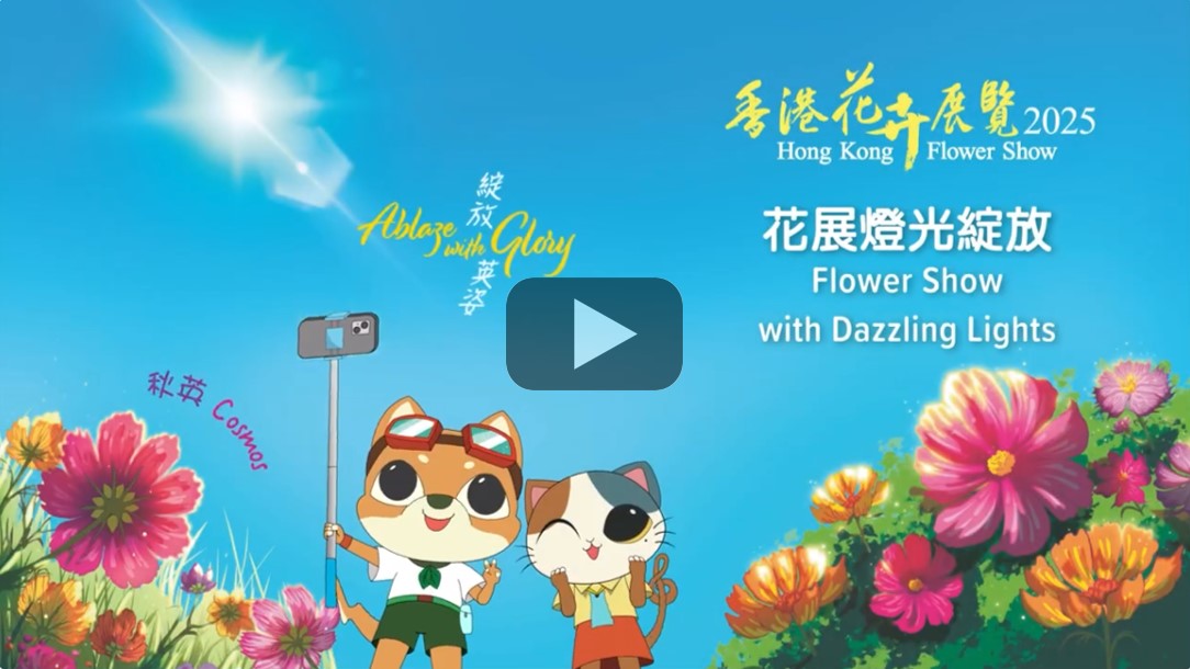 花展灯光绽放